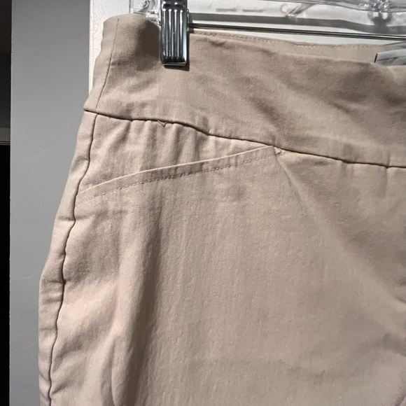 Charter Club Classic Fit Pants - Size 12 - Picture 3 of 8